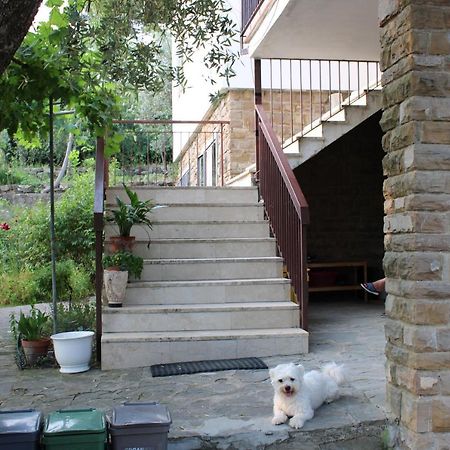 Вілла Bella Vista Bolognese Trespiano Екстер'єр фото